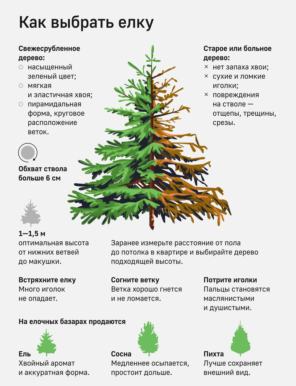 
							О реализации новогодних деревьев в декабре 2023					
