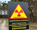 
							Чернобыль 37 лет спустя					