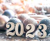 
							Поздравляем с Новым 2023 годом!					